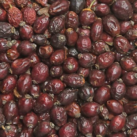 Csipkebogyó termése téli időszakban, természetes környezetben